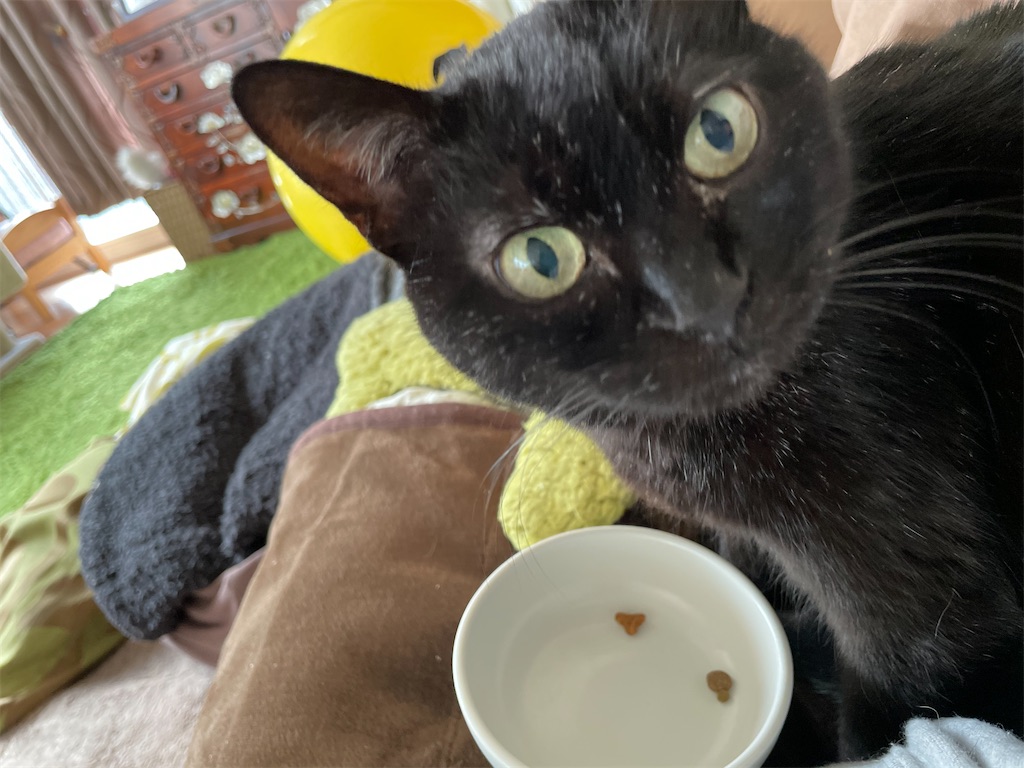 f:id:hiraryo0201:20201230132551j:image f:id:hiraryo0201:20201230132551j:image