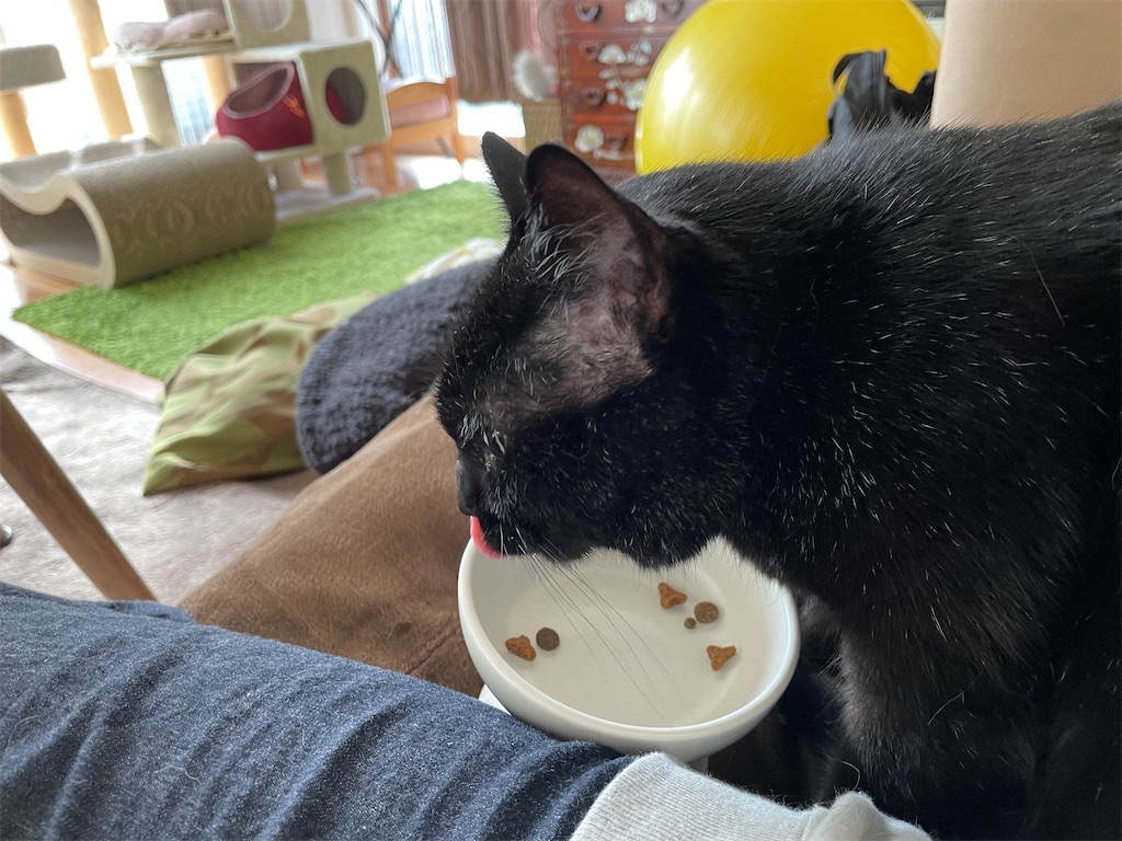 f:id:hiraryo0201:20201230132559j:image f:id:hiraryo0201:20201230132559j:image