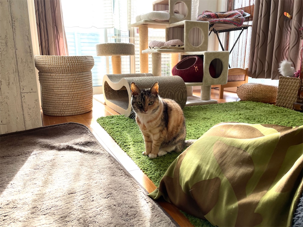 f:id:hiraryo0201:20201231140948j:image f:id:hiraryo0201:20201231140948j:image