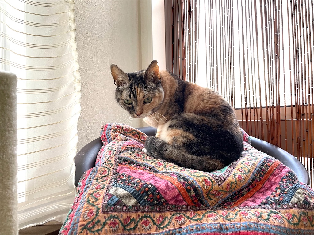 f:id:hiraryo0201:20201231141236j:image f:id:hiraryo0201:20201231141236j:image