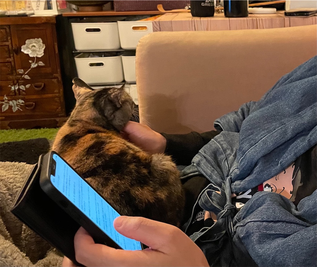 f:id:hiraryo0201:20210102084757j:image f:id:hiraryo0201:20210102084757j:image