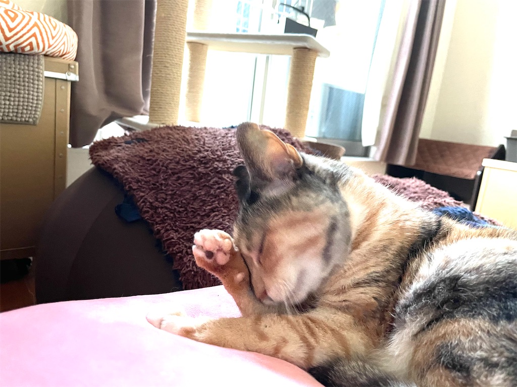 f:id:hiraryo0201:20210104123008j:image f:id:hiraryo0201:20210104123008j:image