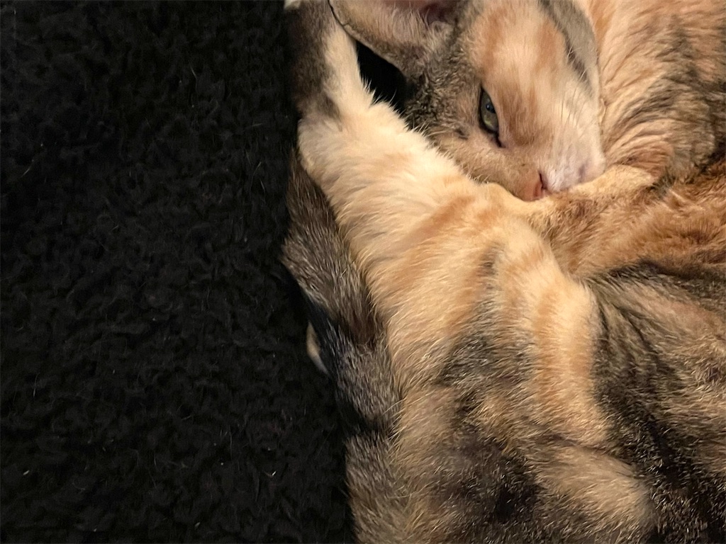 f:id:hiraryo0201:20210106225334j:image f:id:hiraryo0201:20210106225334j:image