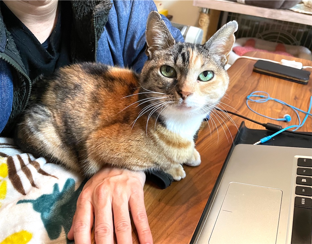 f:id:hiraryo0201:20210111111551j:image f:id:hiraryo0201:20210111111551j:image