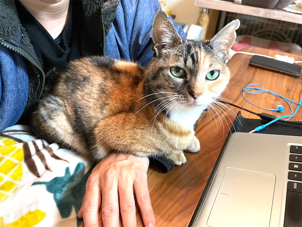 f:id:hiraryo0201:20210111111555j:image f:id:hiraryo0201:20210111111555j:image