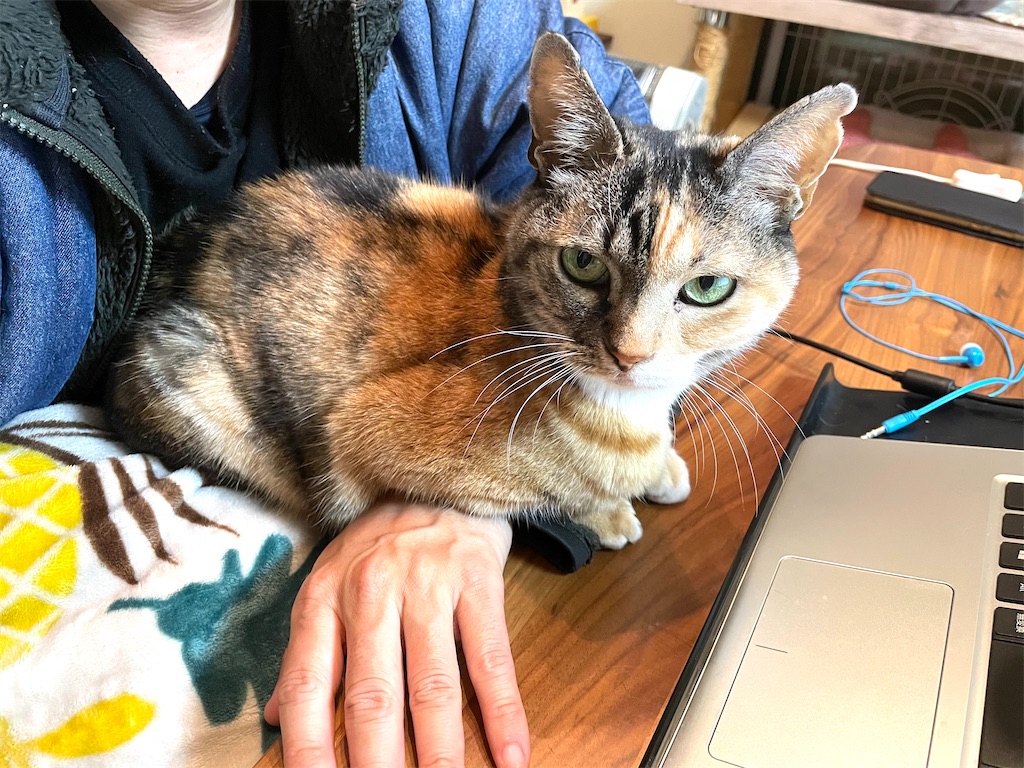 f:id:hiraryo0201:20210111111558j:image f:id:hiraryo0201:20210111111558j:image