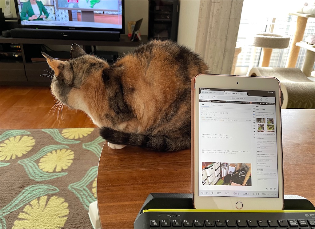 f:id:hiraryo0201:20210111111855j:image f:id:hiraryo0201:20210111111855j:image