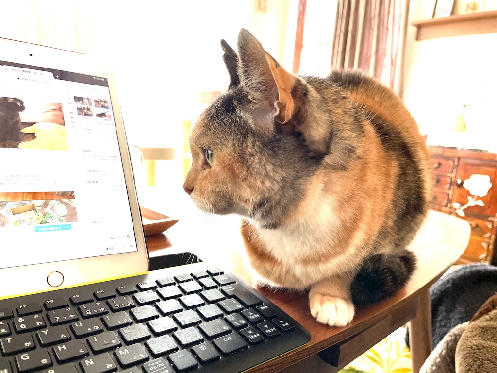 f:id:hiraryo0201:20210111111859j:image f:id:hiraryo0201:20210111111859j:image