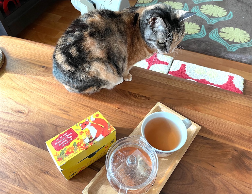 f:id:hiraryo0201:20210111111903j:image f:id:hiraryo0201:20210111111903j:image