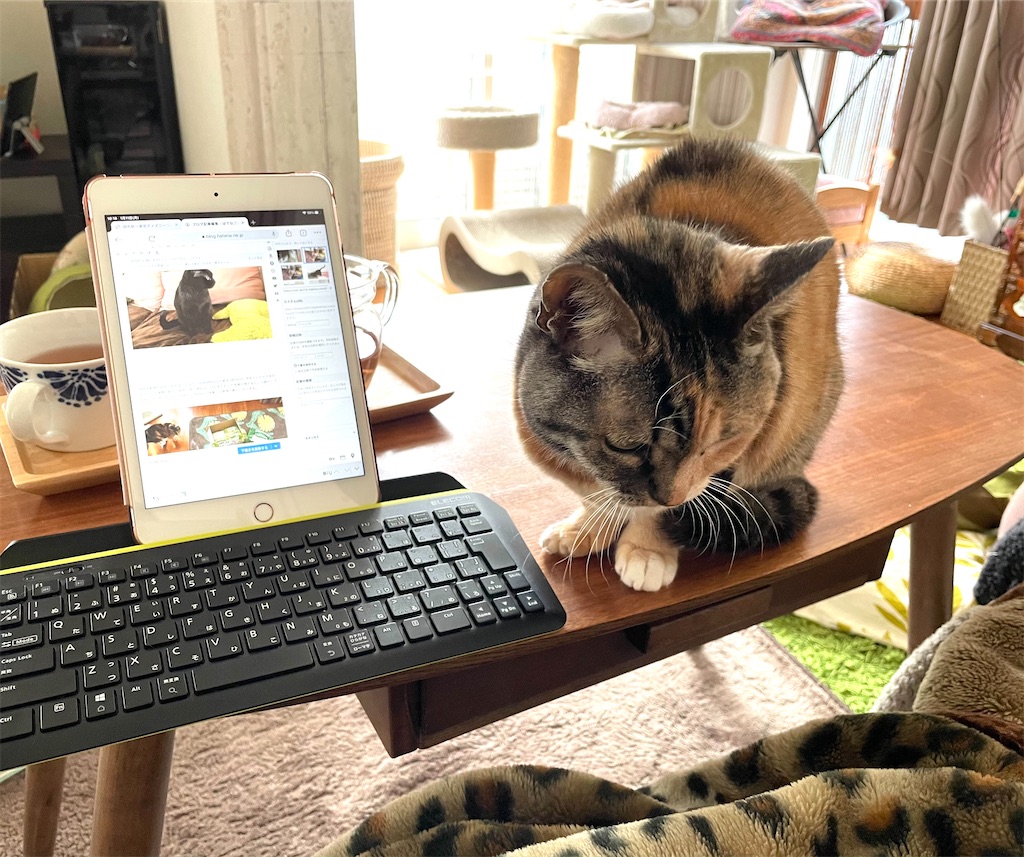 f:id:hiraryo0201:20210111111907j:image f:id:hiraryo0201:20210111111907j:image