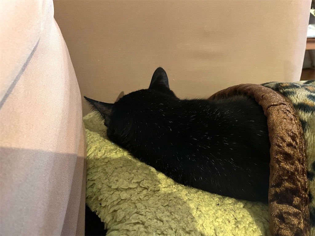 f:id:hiraryo0201:20210116222653j:image f:id:hiraryo0201:20210116222653j:image