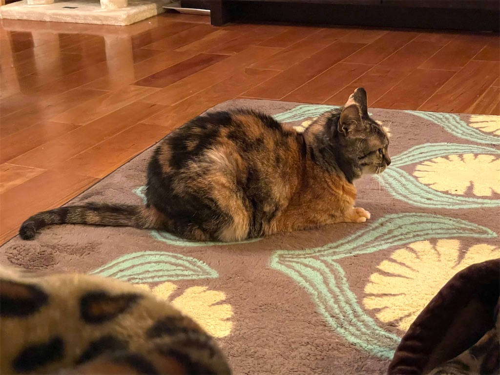 f:id:hiraryo0201:20210116222701j:image f:id:hiraryo0201:20210116222701j:image