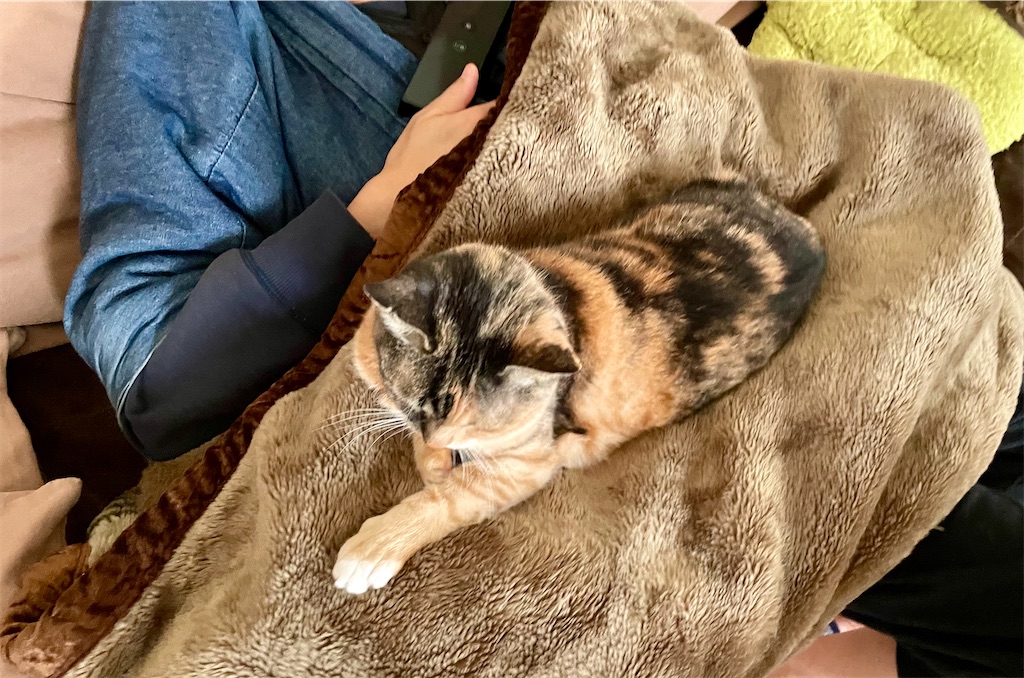 f:id:hiraryo0201:20210117143528j:image f:id:hiraryo0201:20210117143528j:image