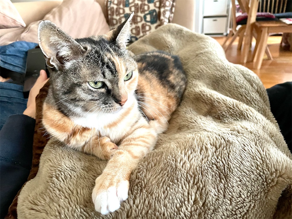 f:id:hiraryo0201:20210117143534j:image f:id:hiraryo0201:20210117143534j:image