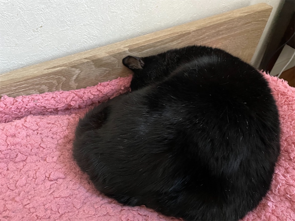 f:id:hiraryo0201:20210120190237j:image f:id:hiraryo0201:20210120190237j:image