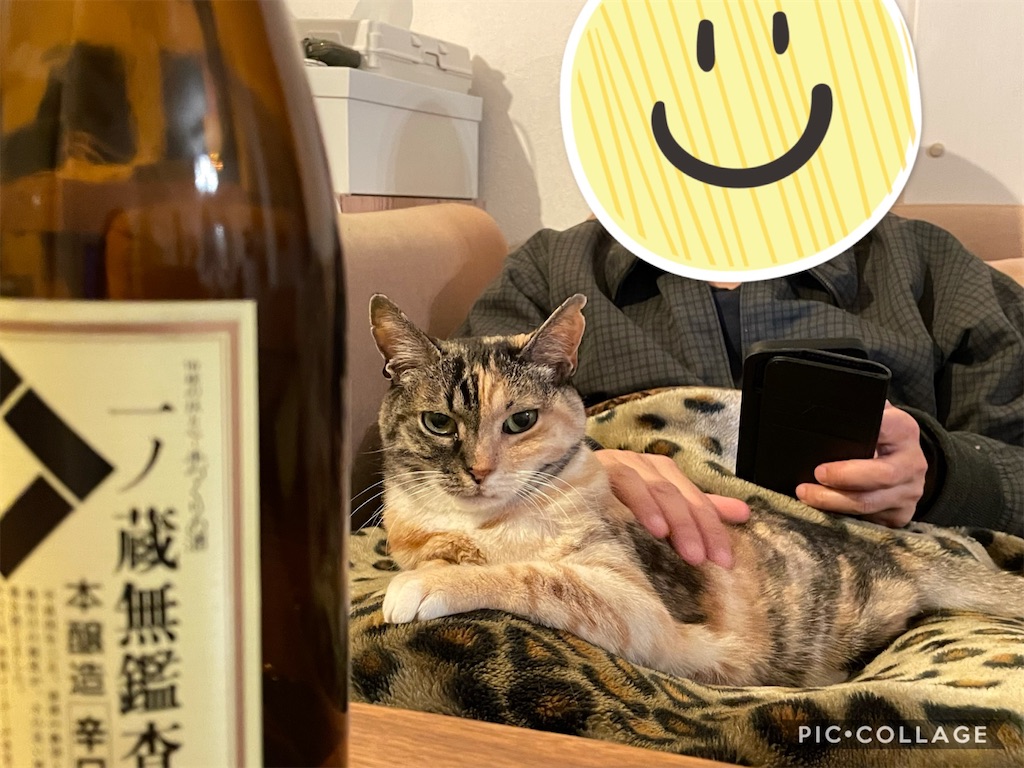 f:id:hiraryo0201:20210124133840j:image