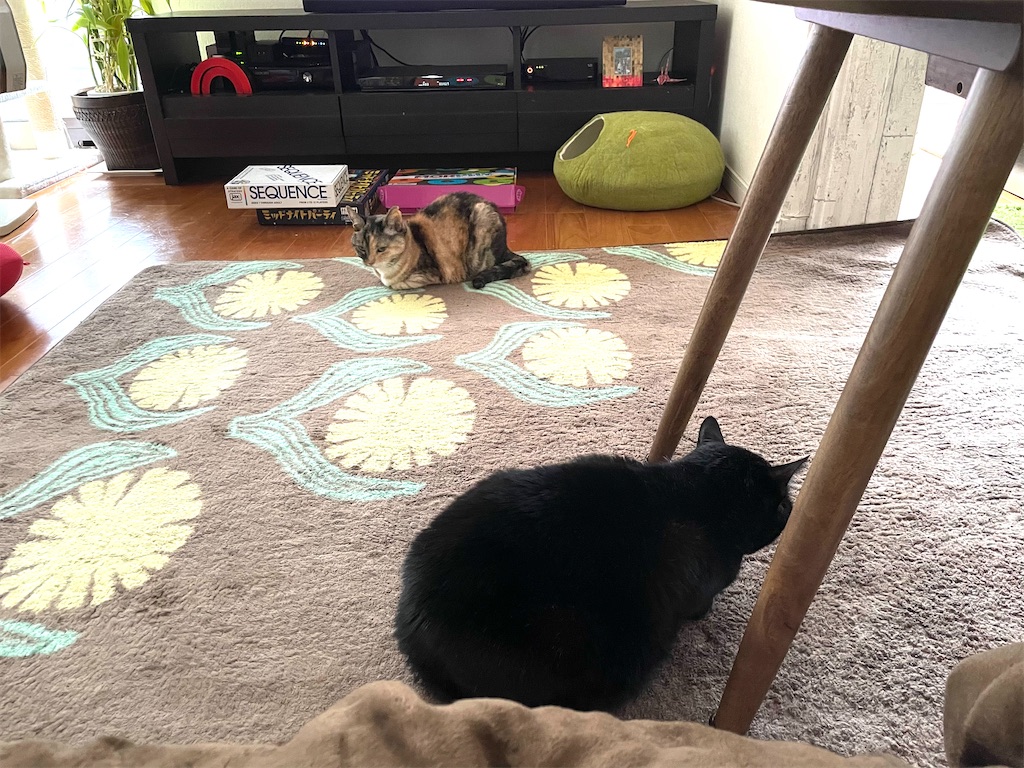 f:id:hiraryo0201:20210124133943j:image