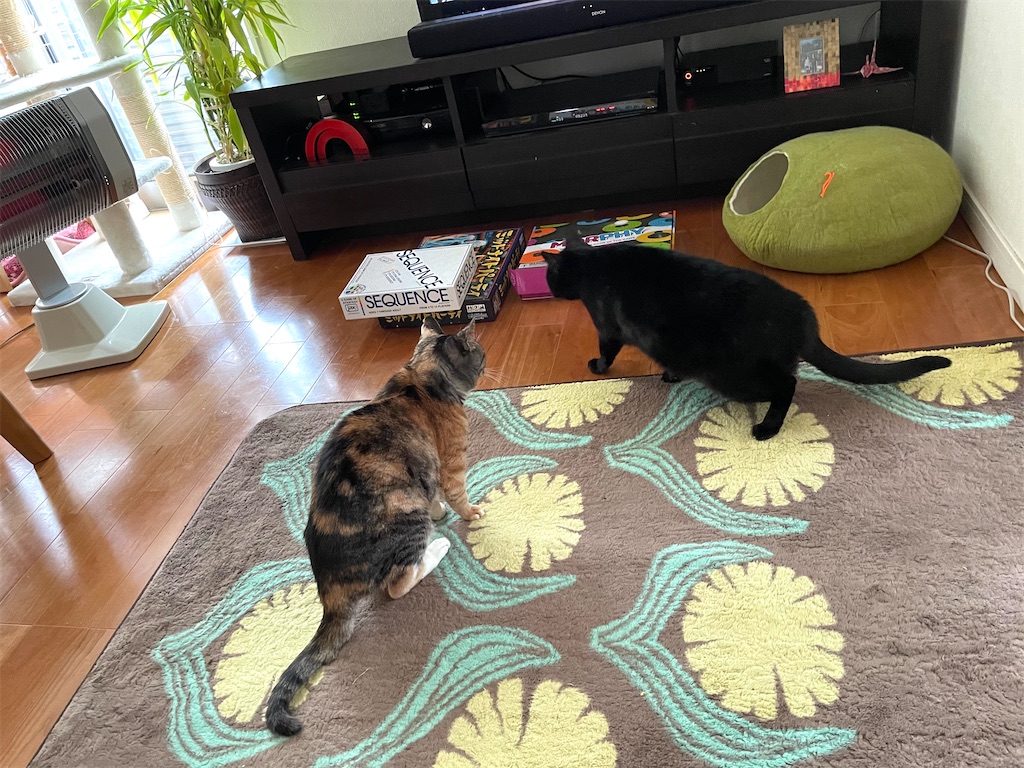 f:id:hiraryo0201:20210124133949j:image