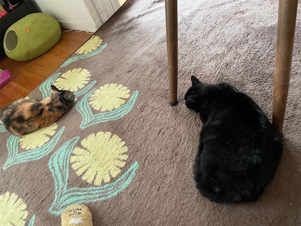 f:id:hiraryo0201:20210124133953j:image