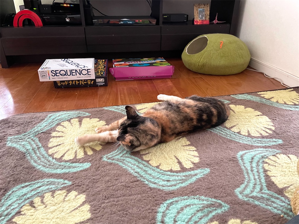 f:id:hiraryo0201:20210124133959j:image