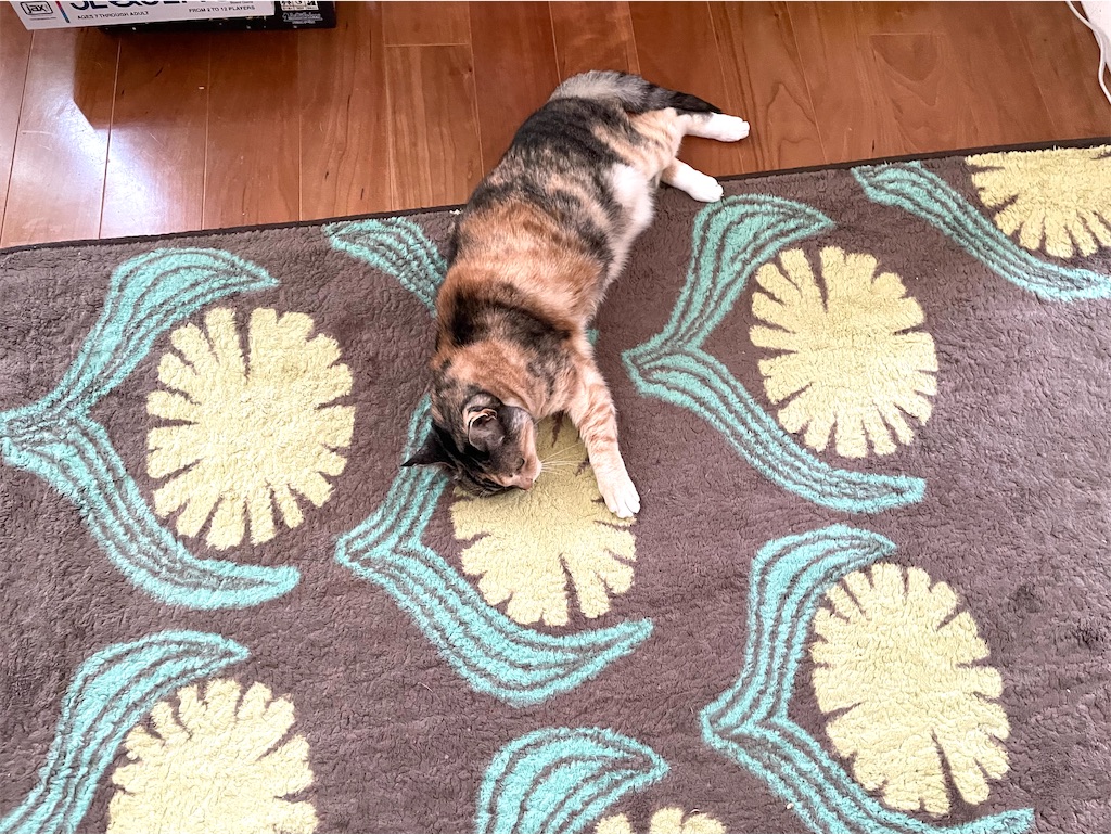 f:id:hiraryo0201:20210124210532j:image