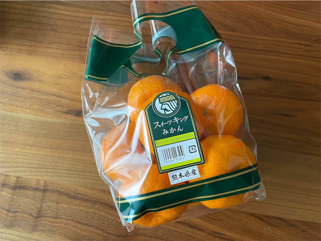 f:id:hiraryo0201:20210124212430j:image