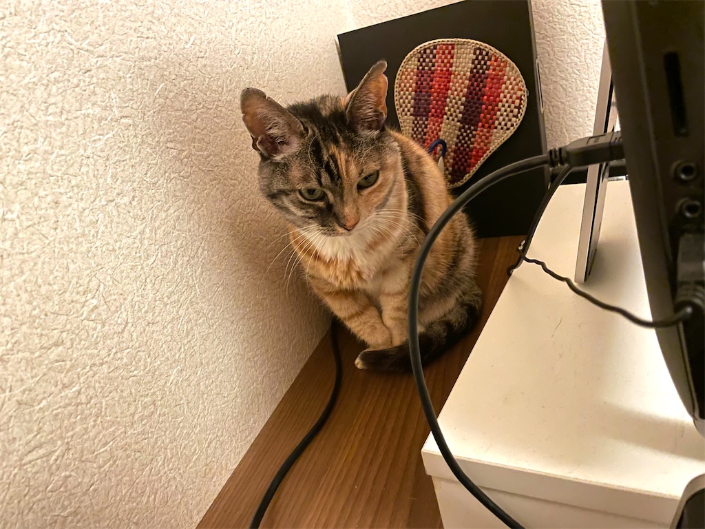 f:id:hiraryo0201:20210126173901j:image