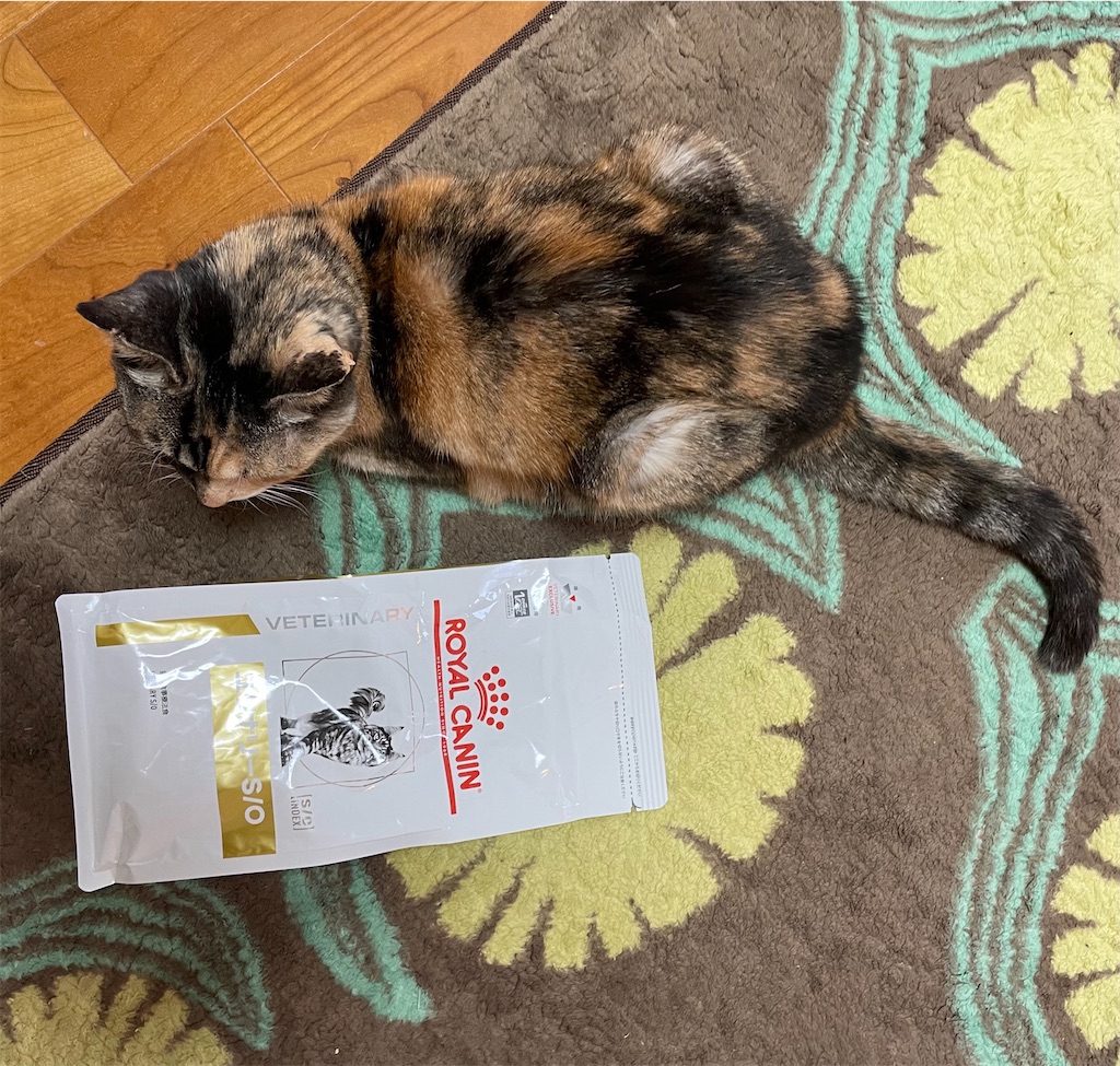 f:id:hiraryo0201:20210128182222j:image