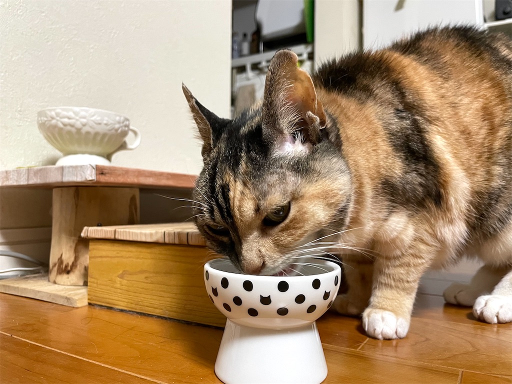 f:id:hiraryo0201:20210128235709j:image