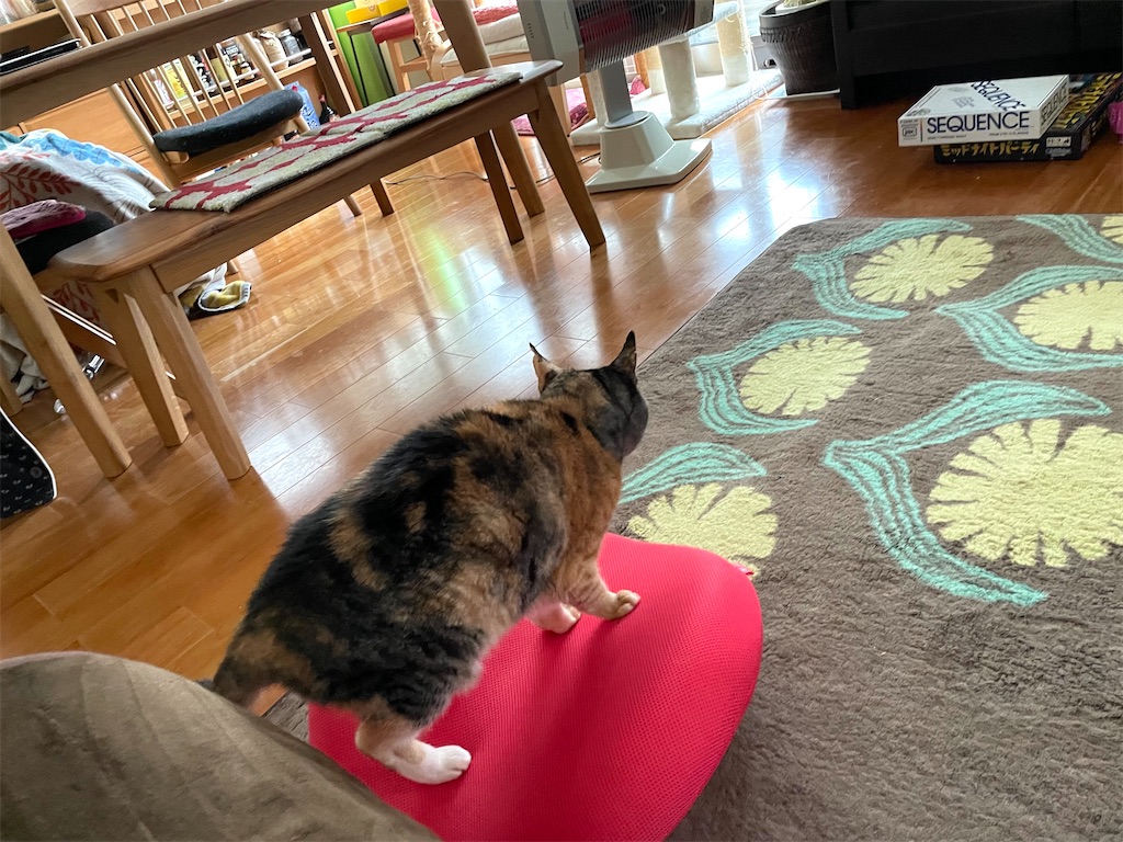 f:id:hiraryo0201:20210131180859j:image f:id:hiraryo0201:20210131180859j:image