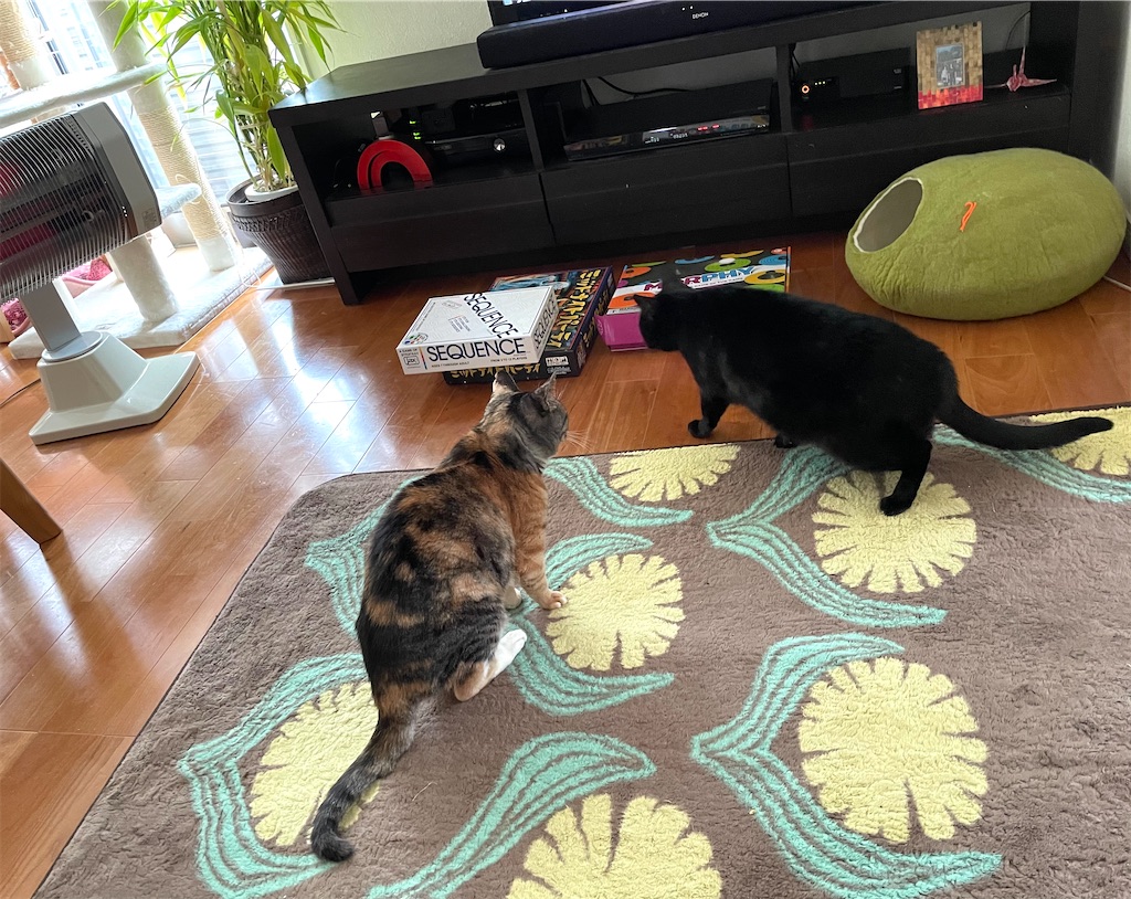 f:id:hiraryo0201:20210131180904j:image f:id:hiraryo0201:20210131180904j:image