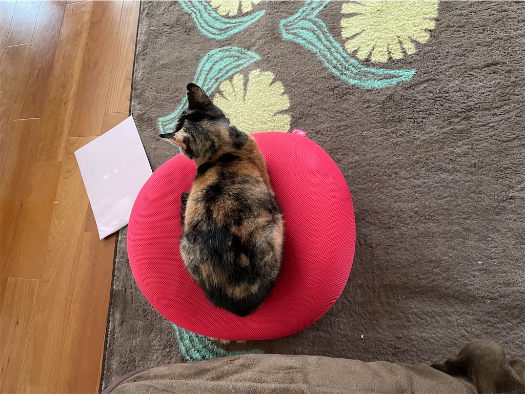 f:id:hiraryo0201:20210131180915j:image f:id:hiraryo0201:20210131180915j:image