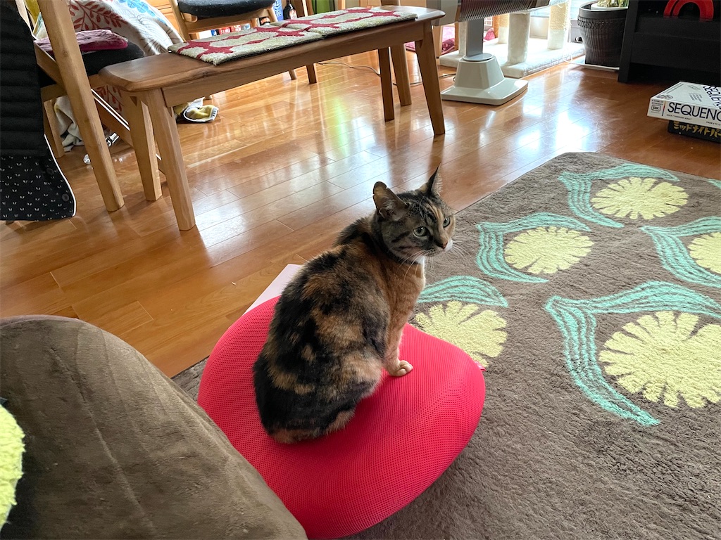 f:id:hiraryo0201:20210131180920j:image f:id:hiraryo0201:20210131180920j:image