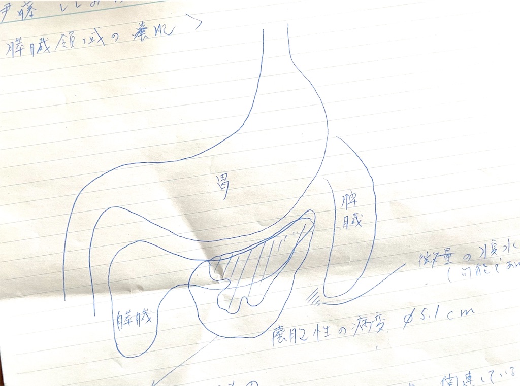 f:id:hiraryo0201:20210213092158j:image