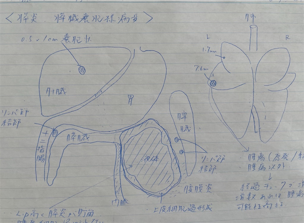 f:id:hiraryo0201:20210220130327j:image f:id:hiraryo0201:20210220130327j:image