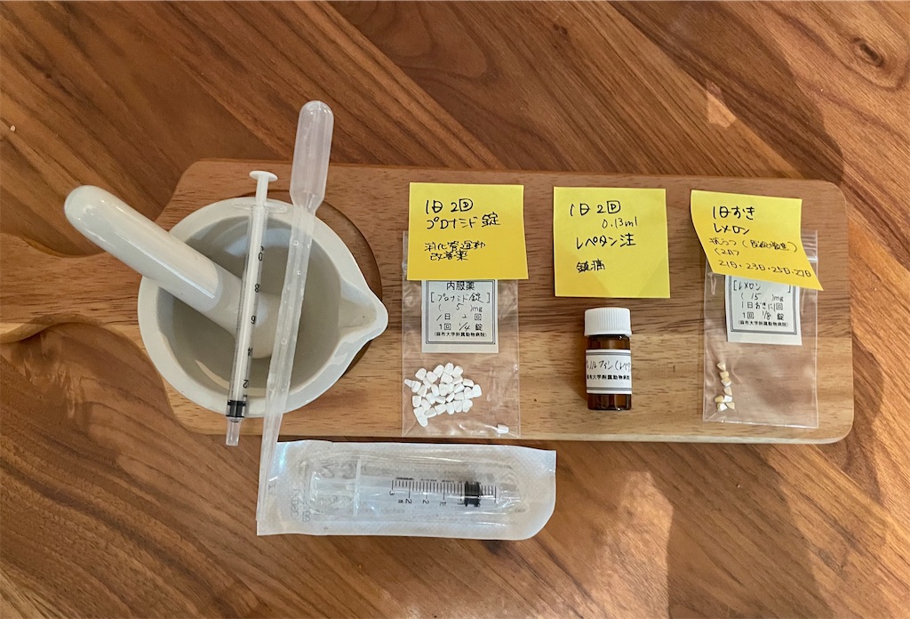 f:id:hiraryo0201:20210220211102j:image f:id:hiraryo0201:20210220211102j:image