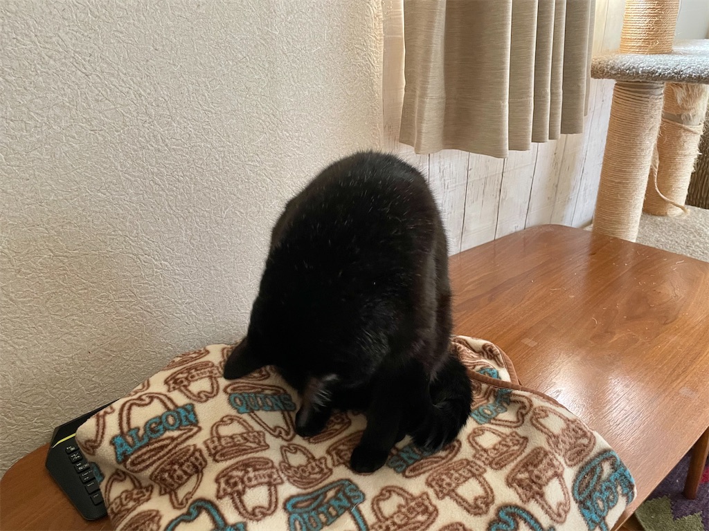 f:id:hiraryo0201:20210305204942j:image