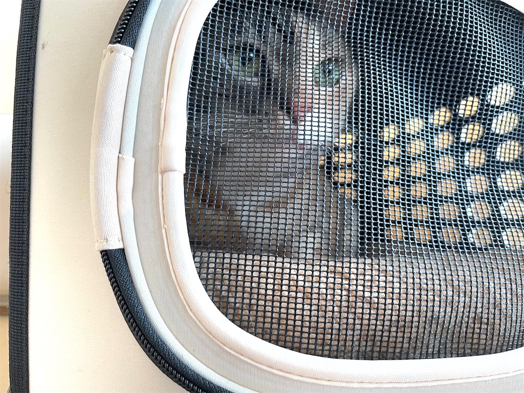 f:id:hiraryo0201:20210306180905j:image f:id:hiraryo0201:20210306180905j:image