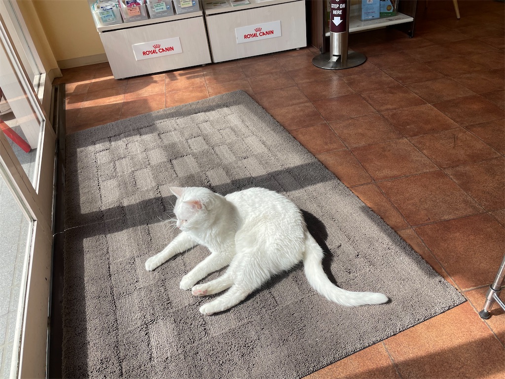 f:id:hiraryo0201:20210306180908j:image f:id:hiraryo0201:20210306180908j:image