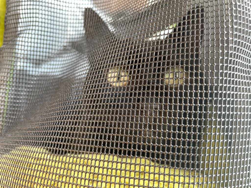 f:id:hiraryo0201:20210306180912j:image f:id:hiraryo0201:20210306180912j:image