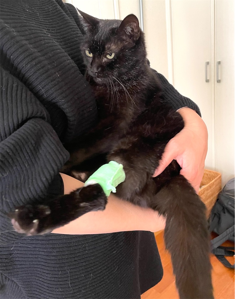 f:id:hiraryo0201:20210306180929j:image f:id:hiraryo0201:20210306180929j:image