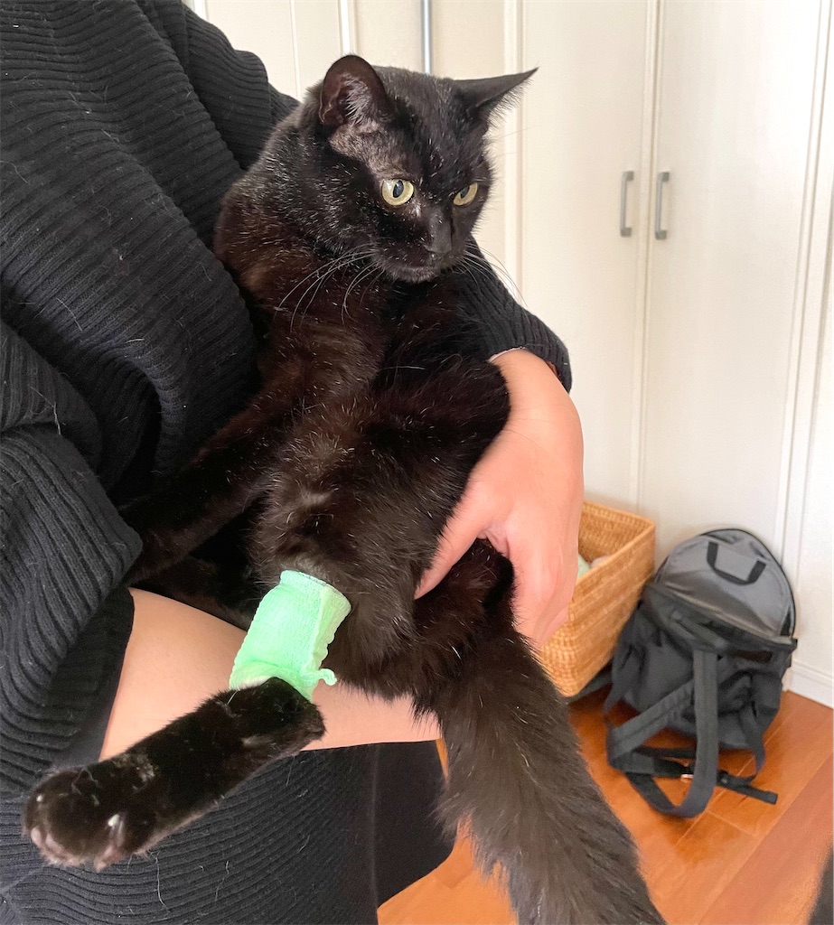 f:id:hiraryo0201:20210306180933j:image f:id:hiraryo0201:20210306180933j:image