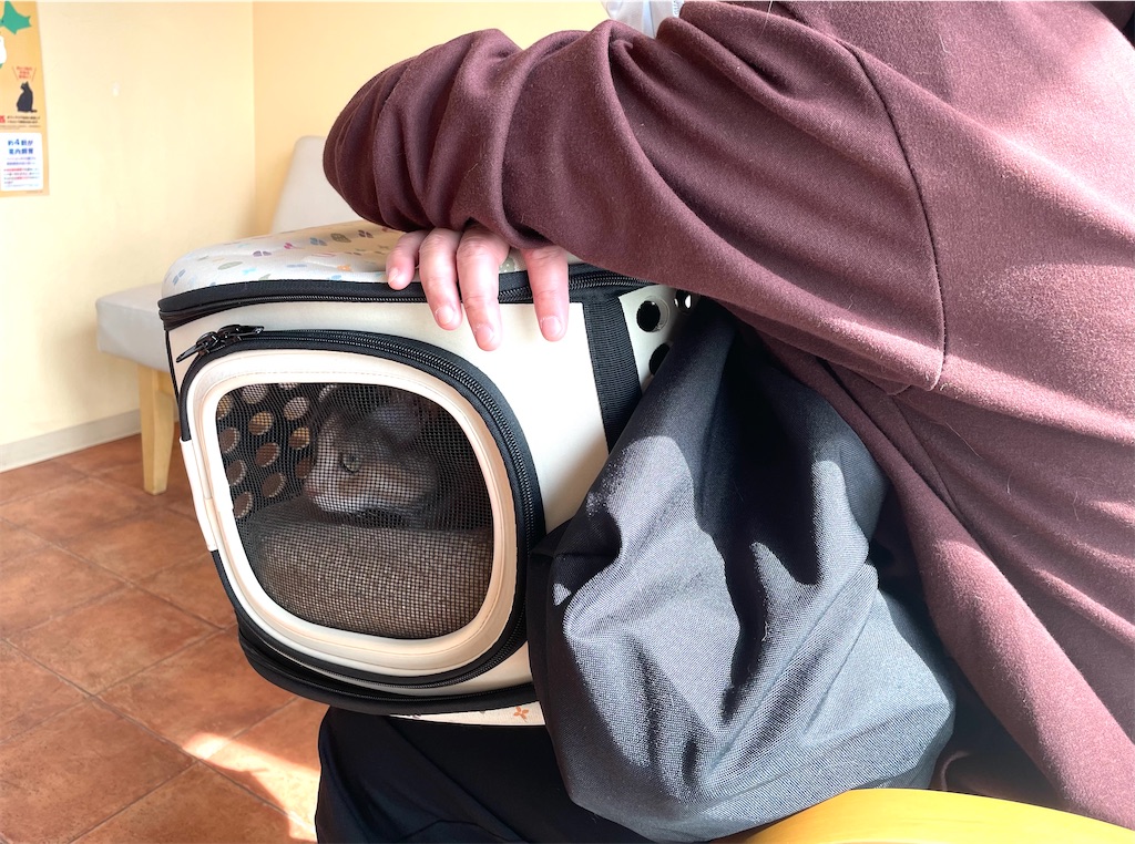 f:id:hiraryo0201:20210306180943j:image f:id:hiraryo0201:20210306180943j:image