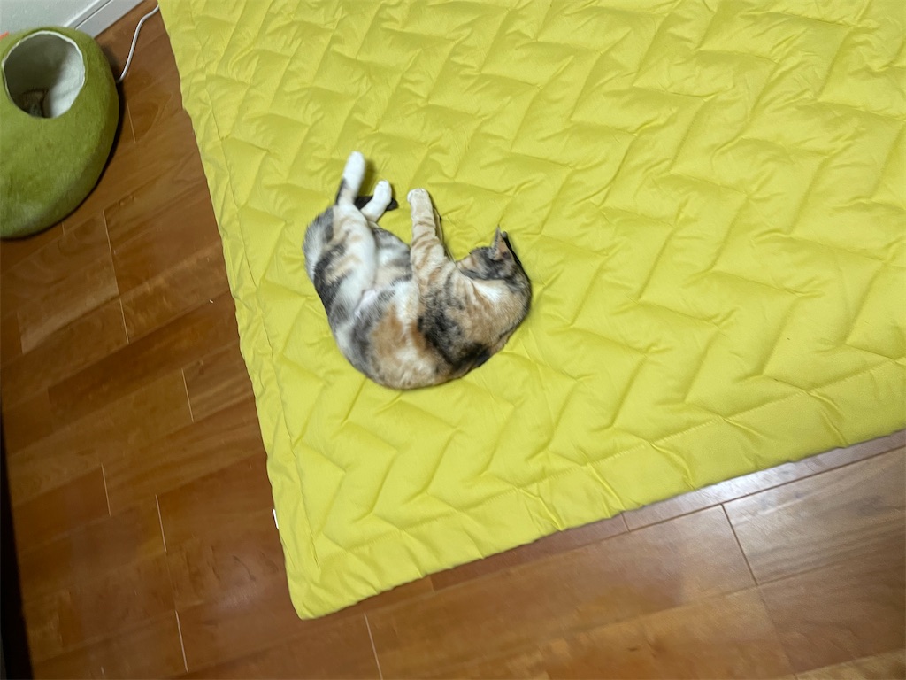 f:id:hiraryo0201:20210309090116j:image f:id:hiraryo0201:20210309090116j:image