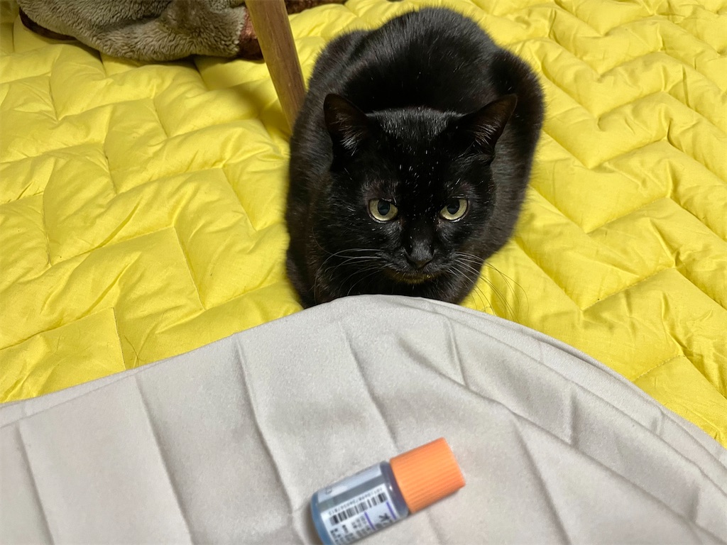 f:id:hiraryo0201:20210309090120j:image f:id:hiraryo0201:20210309090120j:image