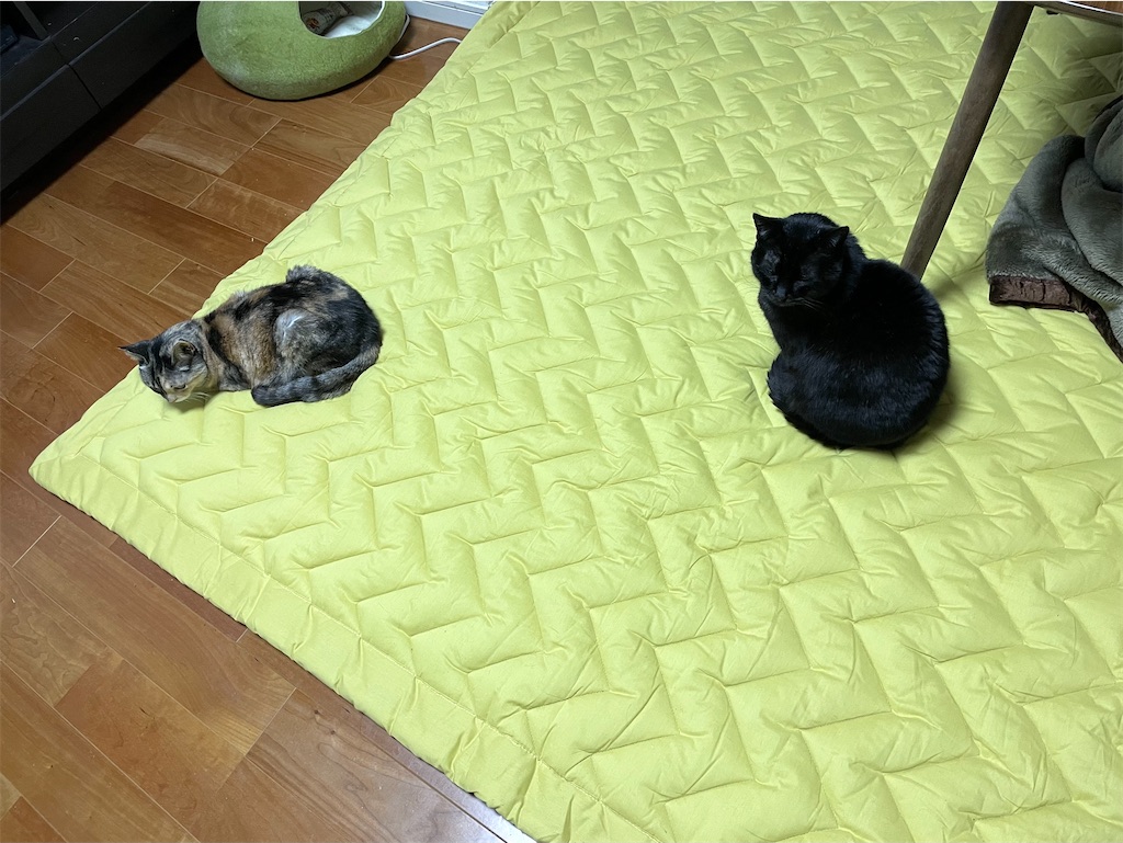 f:id:hiraryo0201:20210309090124j:image f:id:hiraryo0201:20210309090124j:image