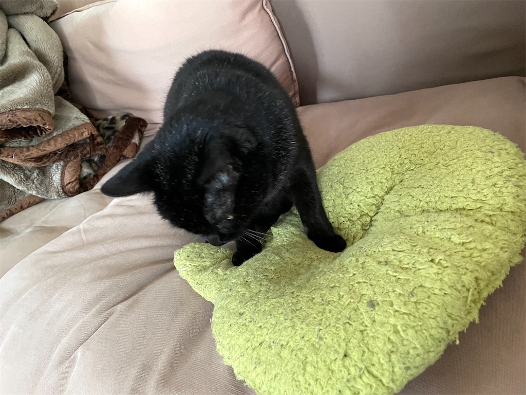 f:id:hiraryo0201:20210313170720j:image