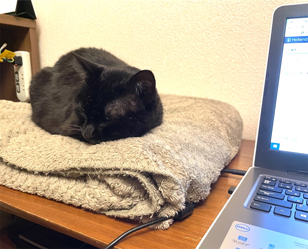 f:id:hiraryo0201:20210313175552j:image f:id:hiraryo0201:20210313175552j:image