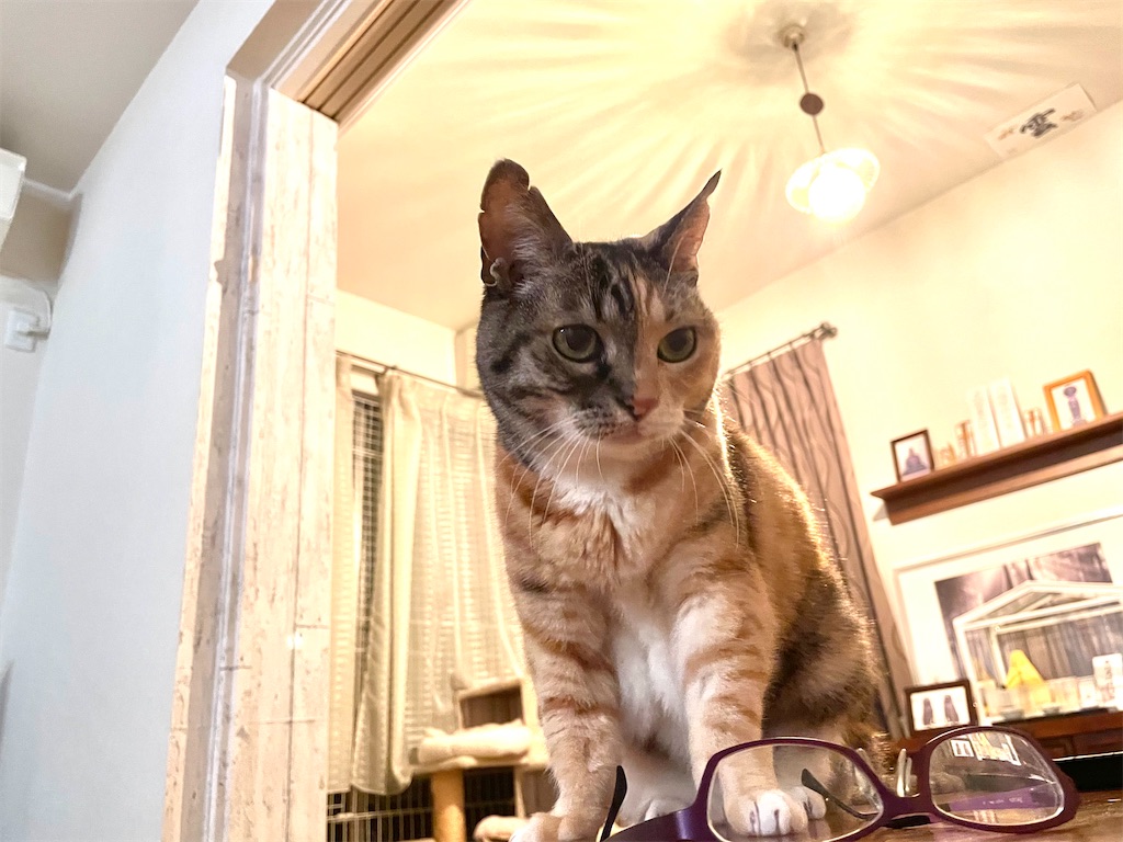 f:id:hiraryo0201:20210313181117j:image f:id:hiraryo0201:20210313181117j:image