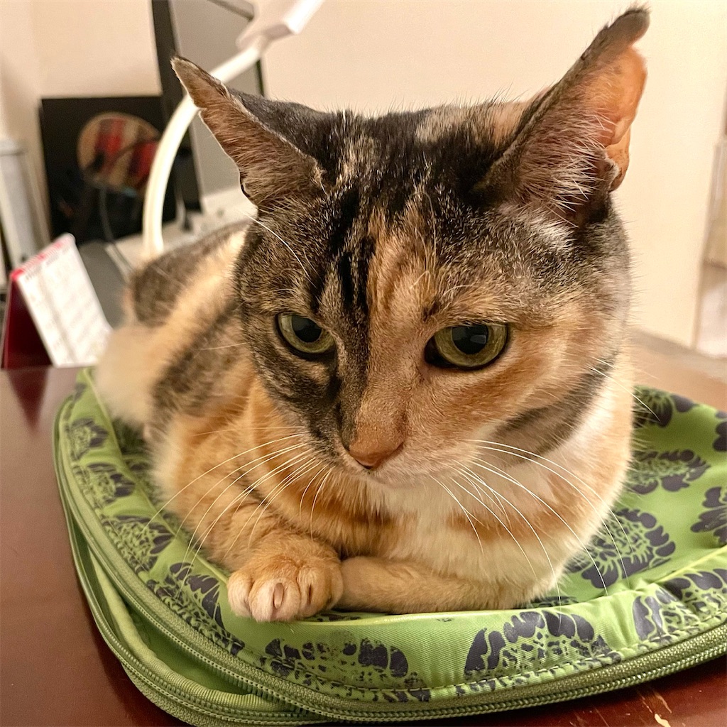 f:id:hiraryo0201:20210316180500j:image f:id:hiraryo0201:20210316180500j:image